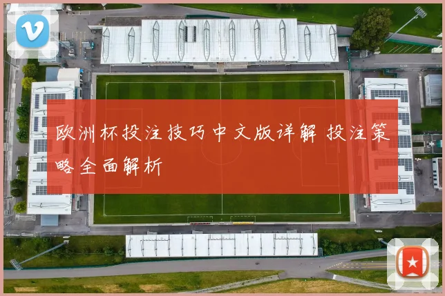 欧洲杯投注技巧中文版详解 投注策略全面解析