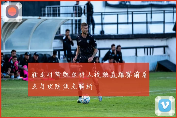 猛龙对阵凯尔特人视频直播赛前看点与攻防焦点解析