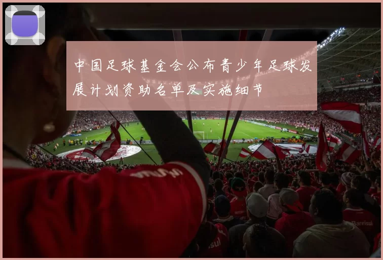 中国足球基金会公布青少年足球发展计划资助名单及实施细节
