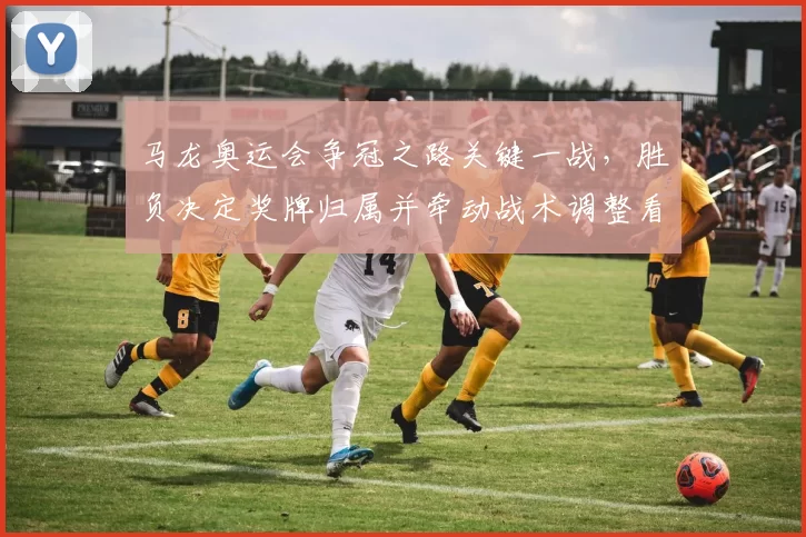 马龙奥运会争冠之路关键一战，胜负决定奖牌归属并牵动战术调整看点